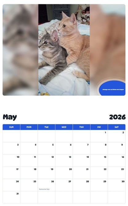 2026 - 2027 Orange one as Simba and Jasper - Pawidols Pet Calendar