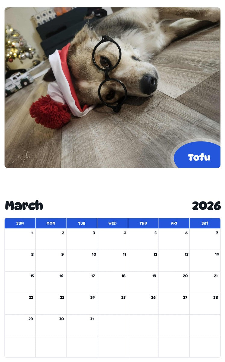 November 2025 - October 2026 Tofu - Pawidols Pet Calendar