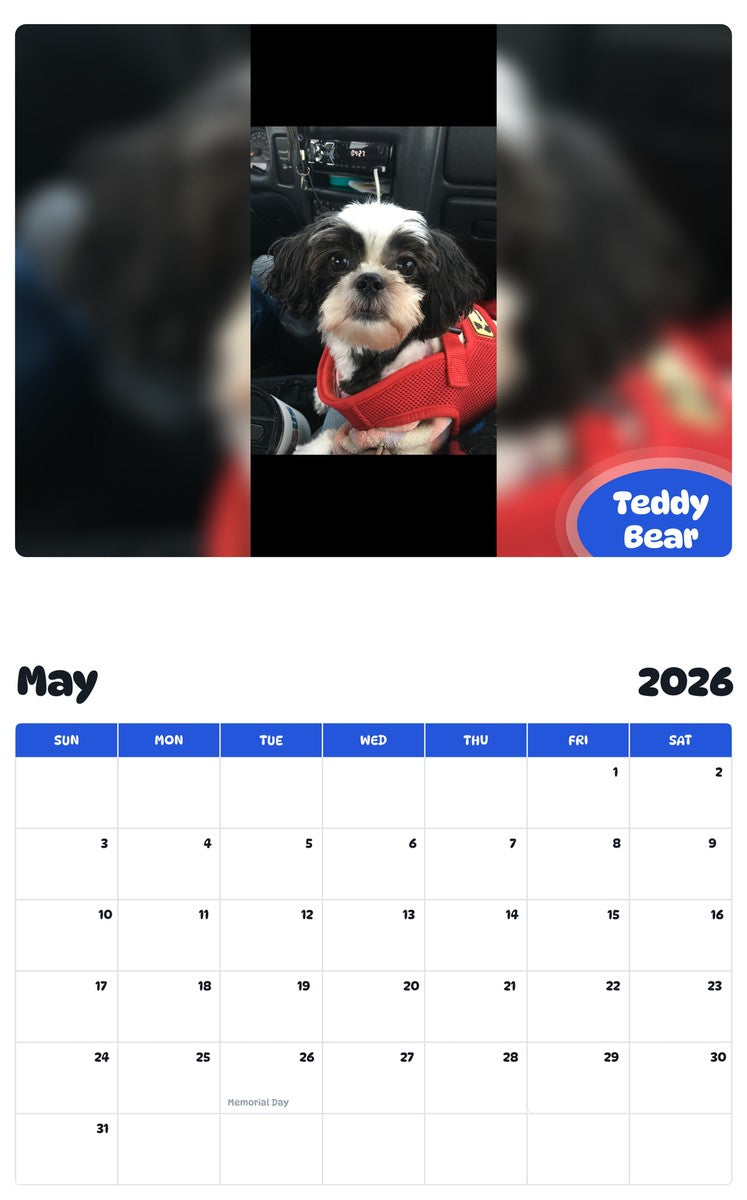 2026 - 2027 Teddy Bear - Pawidols Pet Calendar