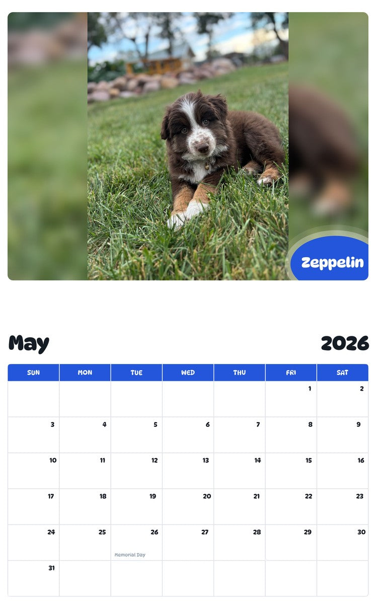 2026 - 2027 Zeppelin - Pawidols Pet Calendar