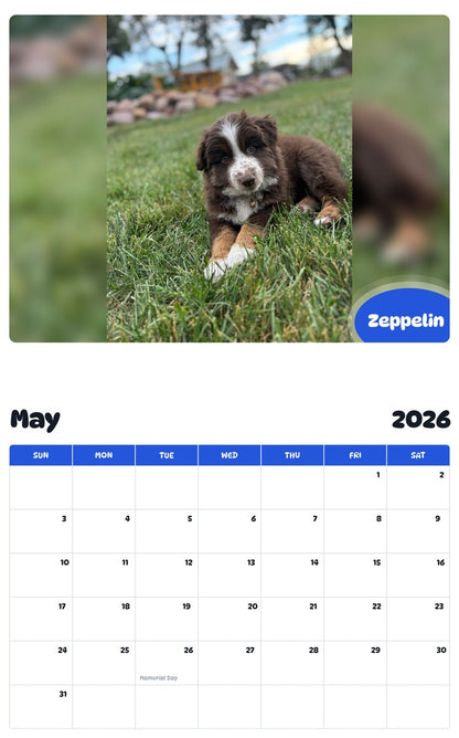 2026 - 2027 Zeppelin - Pawidols Pet Calendar