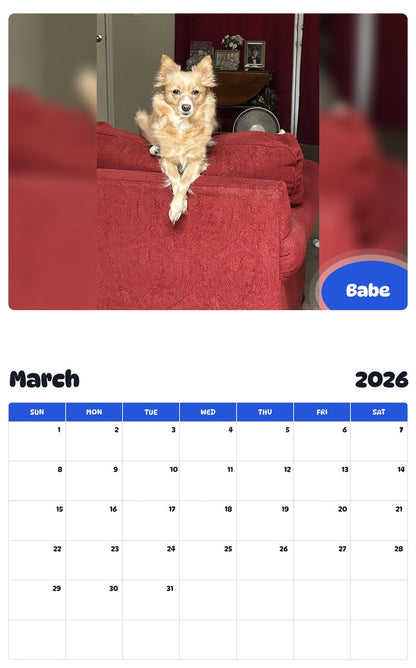 November 2025 - October 2026 Babe - Pawidols Pet Calendar