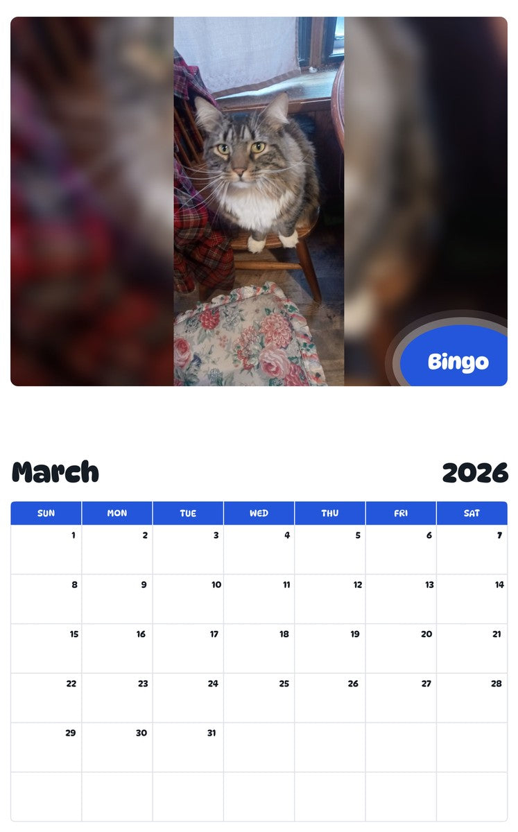 November 2025 - October 2026 Bingo - Pawidols Pet Calendar