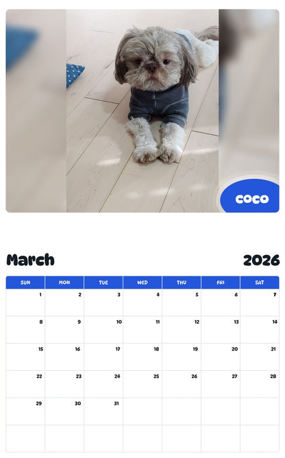 November 2025 - October 2026 COCO - Pawidols Pet Calendar