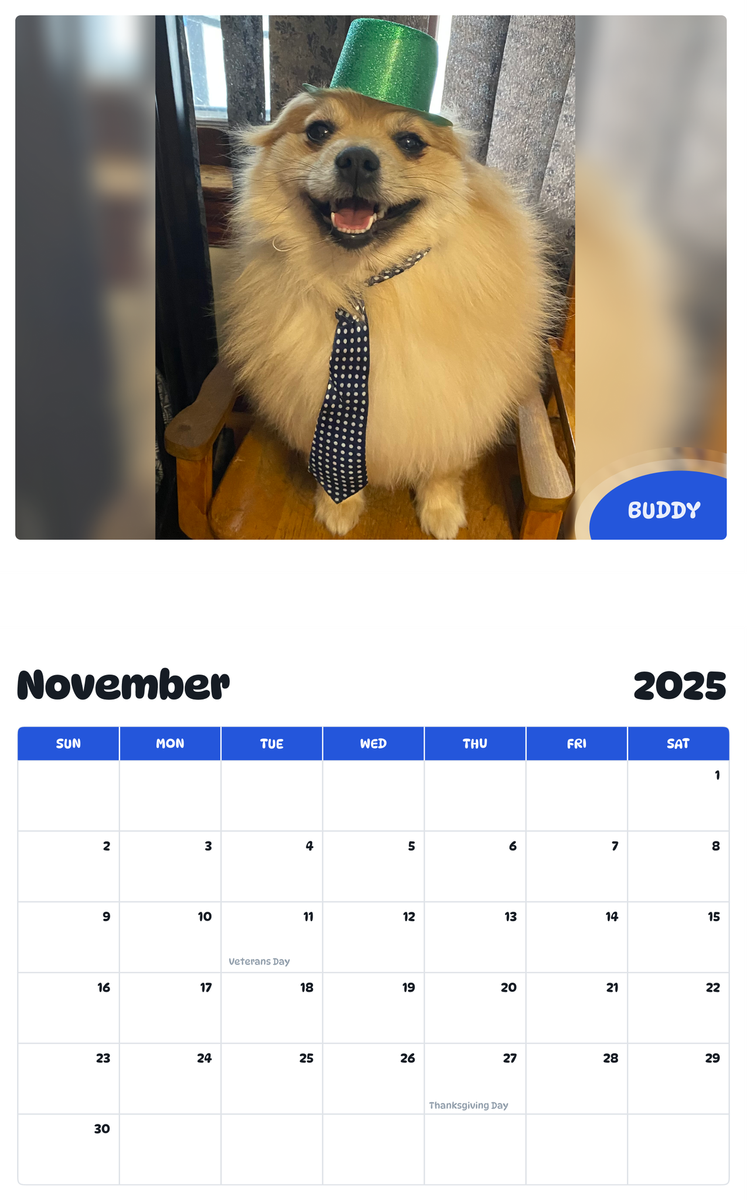 July 2025 - June 2026 Buddy - Pawidols Pet Calendar