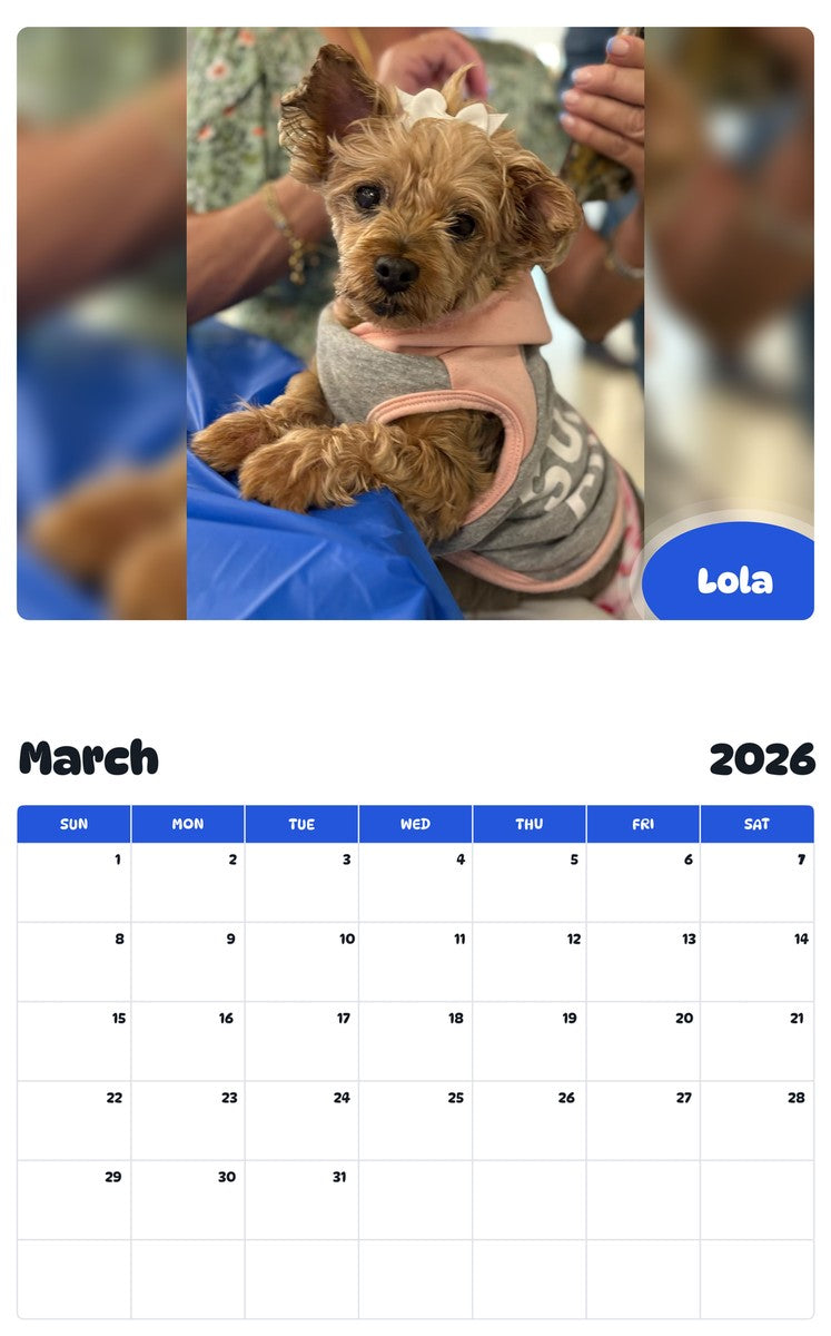 November 2025 - October 2026 Lola - Pawidols Pet Calendar