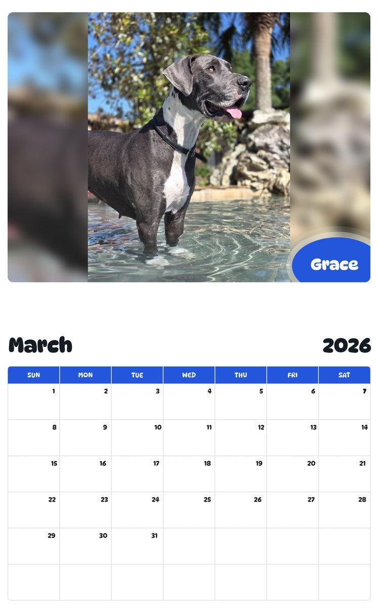 November 2025 - October 2026 Grace - Pawidols Pet Calendar