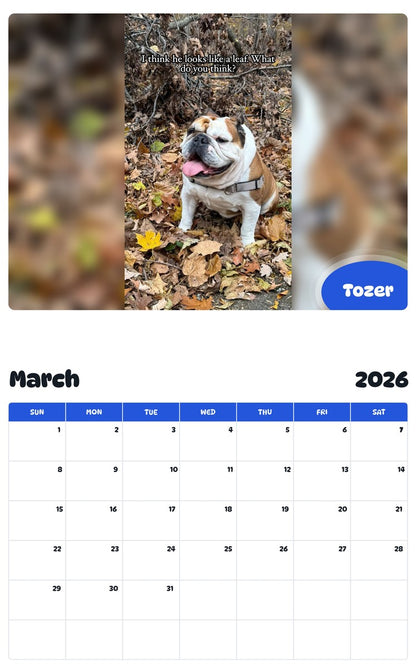 November 2025 - October 2026 Tozer - Pawidols Pet Calendar