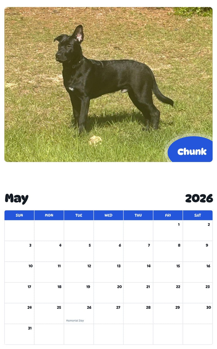 2026 - 2027 Chunk - Pawidols Pet Calendar