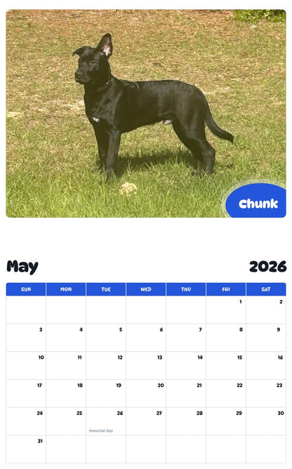 2026 - 2027 Chunk - Pawidols Pet Calendar