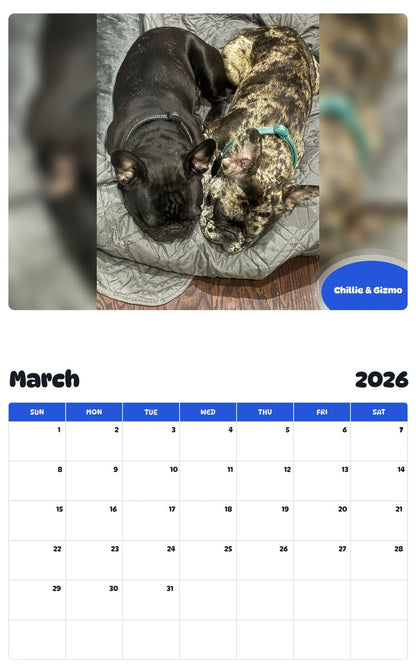 November 2025 - October 2026 Chillie & Gizmo - Pawidols Pet Calendar