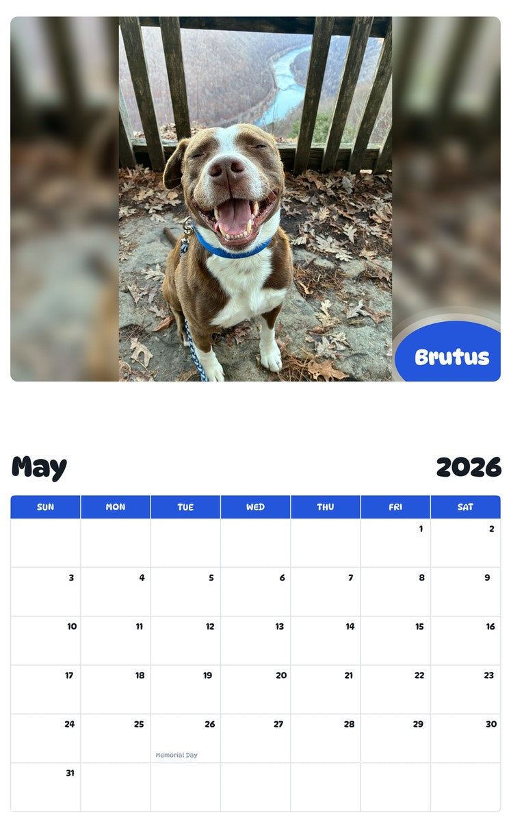 2026 - 2027 Brutus - Pawidols Pet Calendar