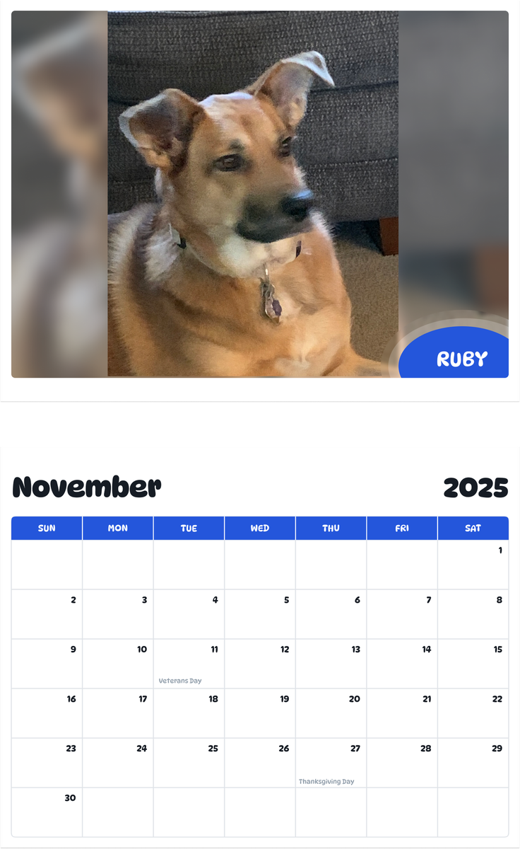 July 2025 - June 2026 Ruby - Pawidols Pet Calendar