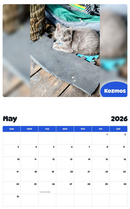 2026 - 2027 Kozmos - Pawidols Pet Calendar