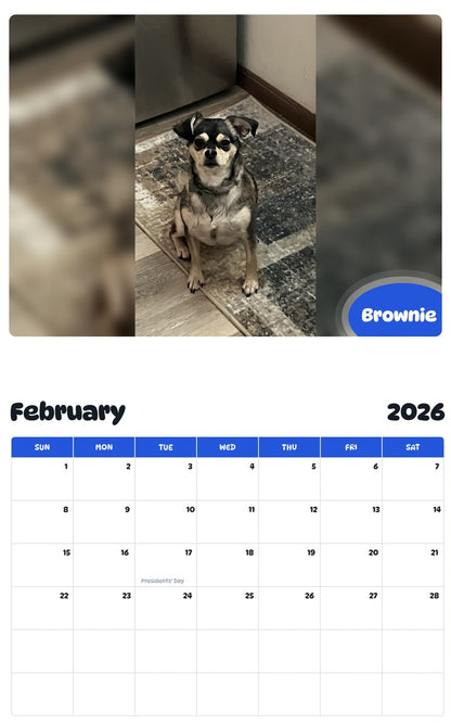 October 2025 - September 2026 Brownie - Pawidols Pet Calendar