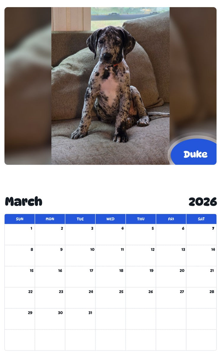 November 2025 - October 2026 Duke - Pawidols Pet Calendar