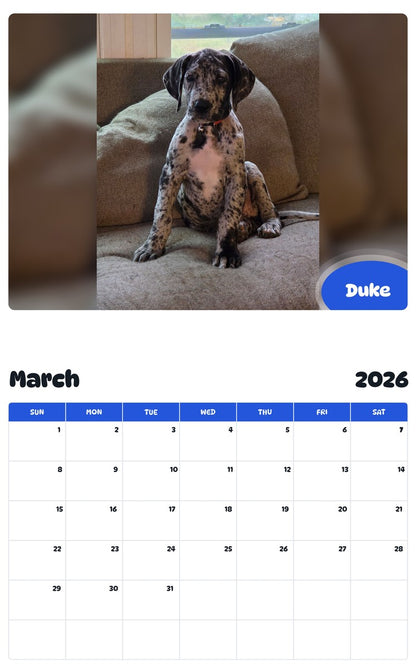 November 2025 - October 2026 Duke - Pawidols Pet Calendar