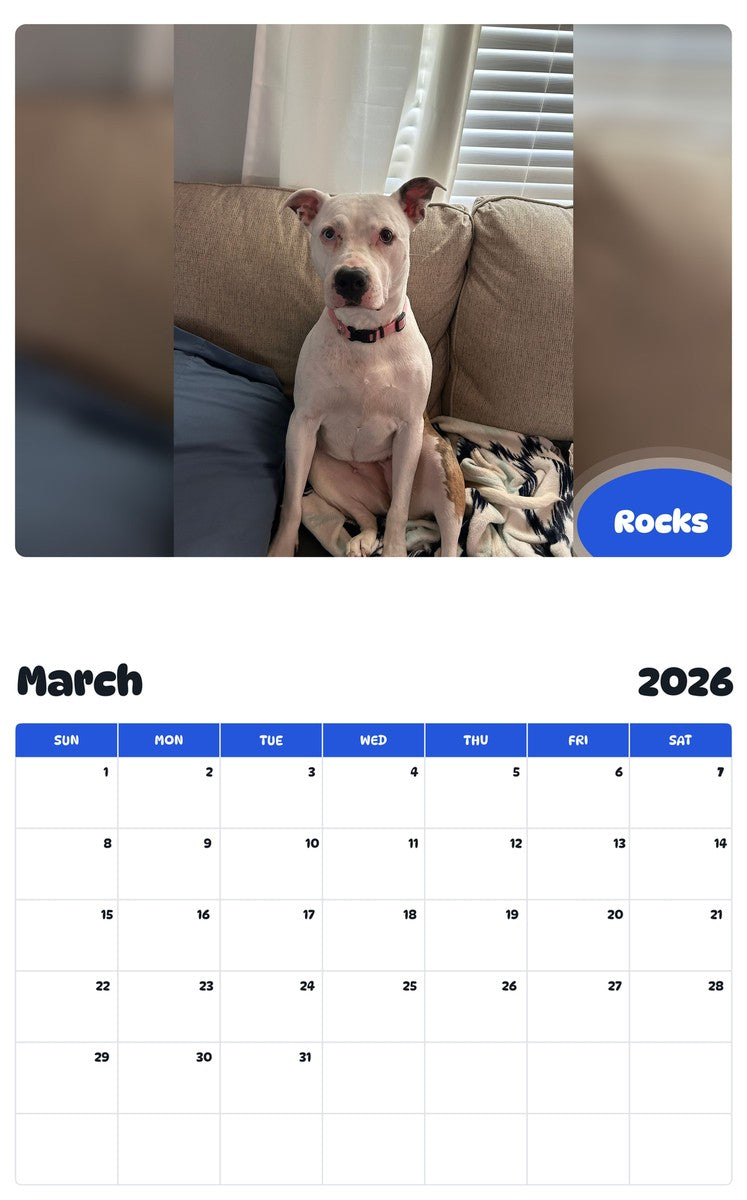 November 2025 - October 2026 Rocks - Pawidols Pet Calendar