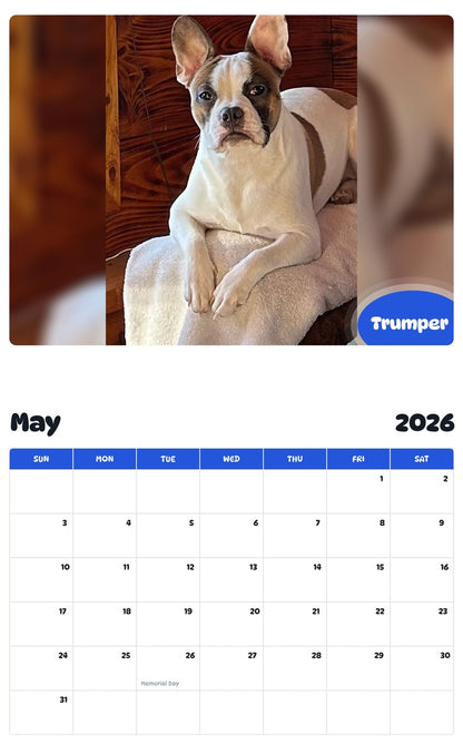 2026 - 2027 Trumper - Pawidols Pet Calendar