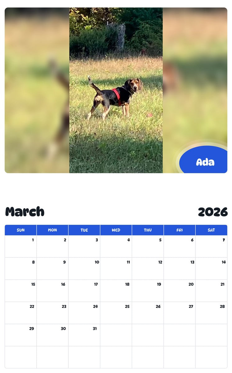 November 2025 - October 2026 Ada - Pawidols Pet Calendar