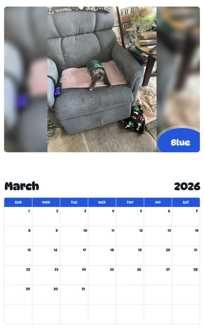 November 2025 - October 2026 Blue - Pawidols Pet Calendar