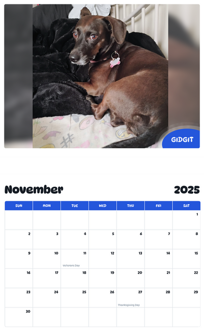 July 2025 - June 2026 Gidgit - Pawidols Pet Calendar