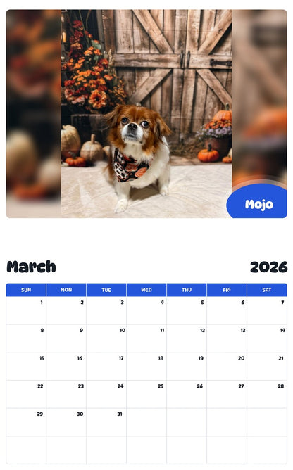November 2025 - October 2026 Mojo - Pawidols Pet Calendar
