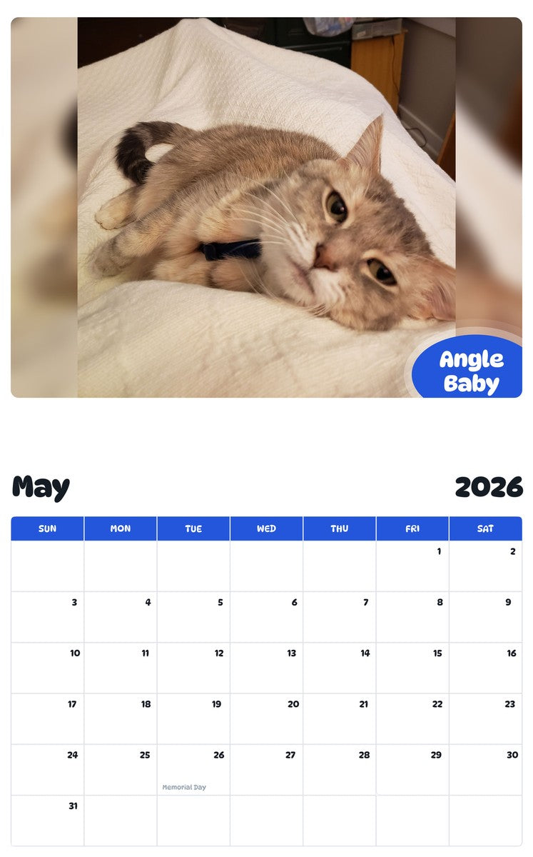 2026 - 2027 Angle Baby - Pawidols Pet Calendar