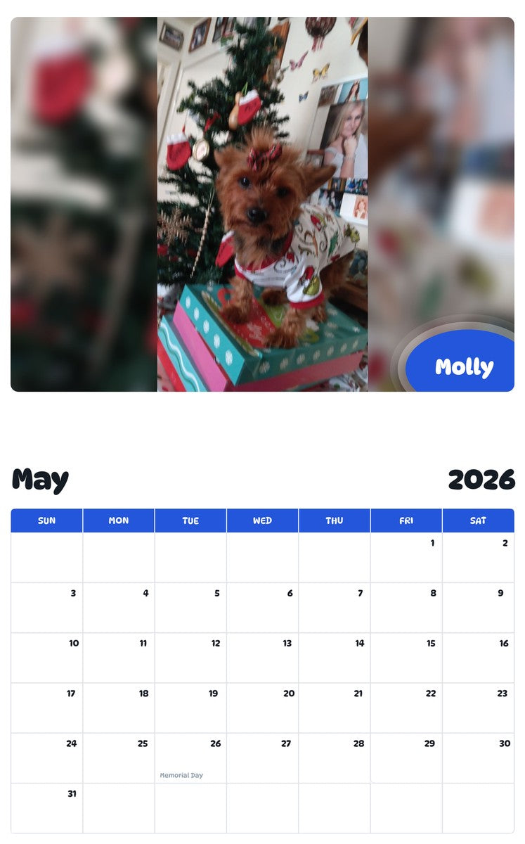 2026 - 2027 Molly - Pawidols Pet Calendar