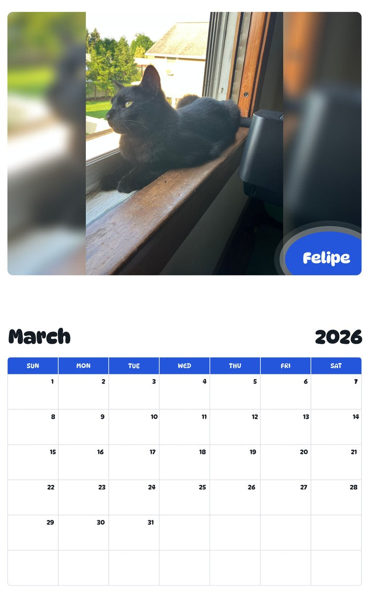 November 2025 - October 2026 Felipe - Pawidols Pet Calendar