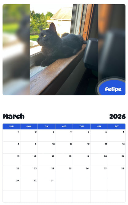 November 2025 - October 2026 Felipe - Pawidols Pet Calendar
