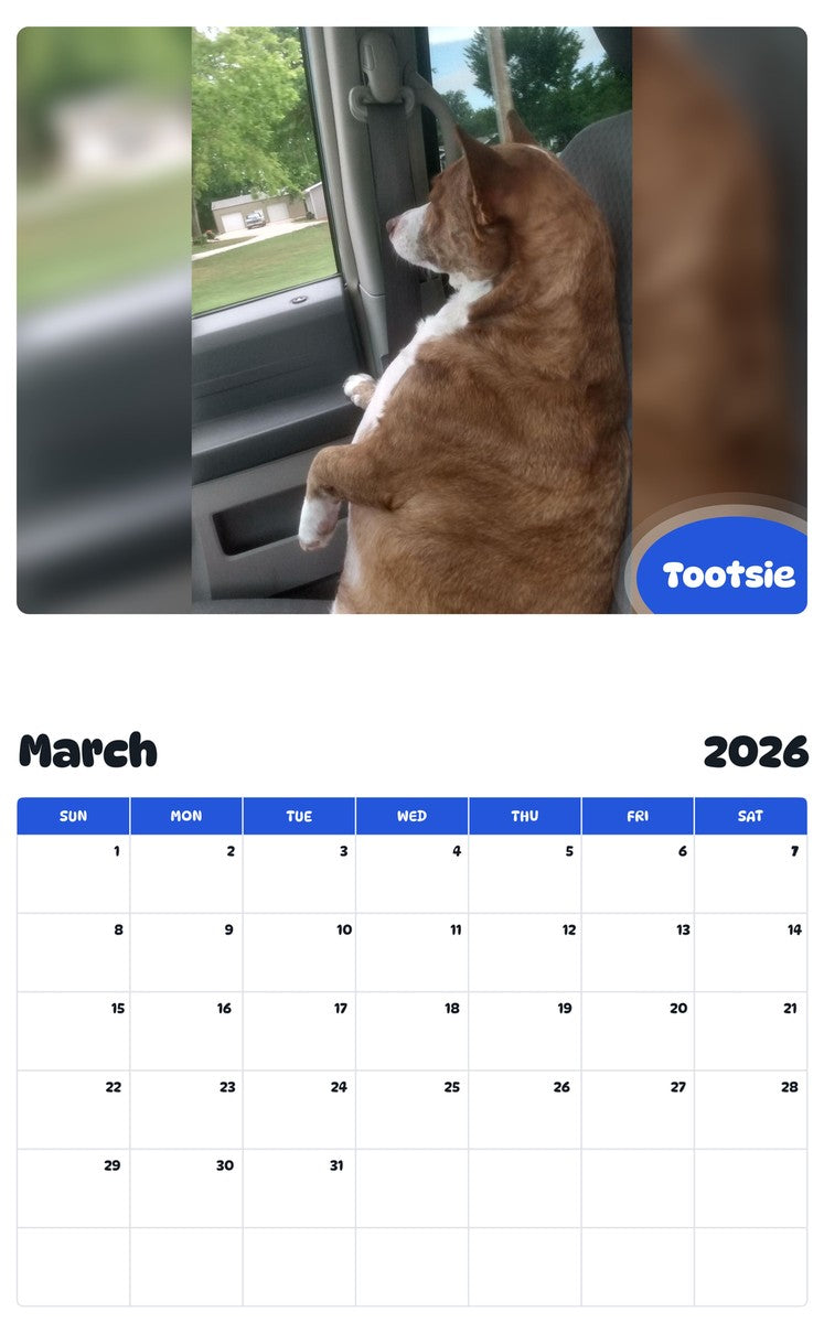 November 2025 - October 2026 Tootsie - Pawidols Pet Calendar