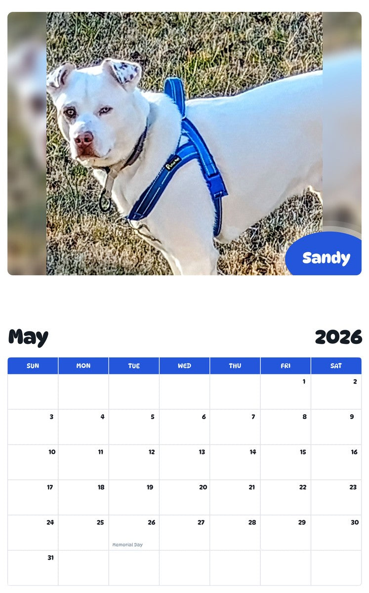 2026 - 2027 Sandy - Pawidols Pet Calendar