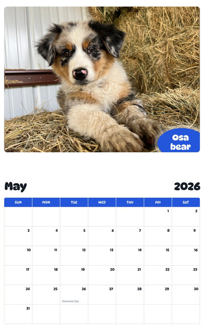 2026 - 2027 Osa bear - Pawidols Pet Calendar
