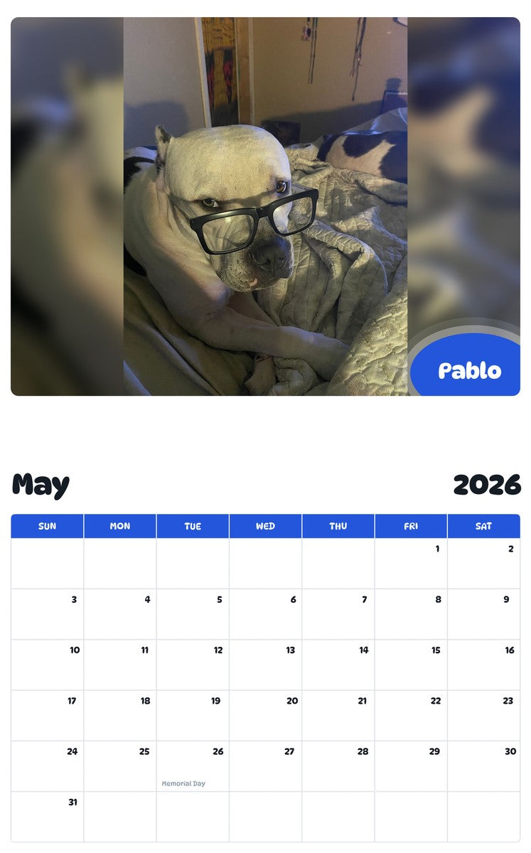 2026 - 2027 Pablo - Pawidols Pet Calendar