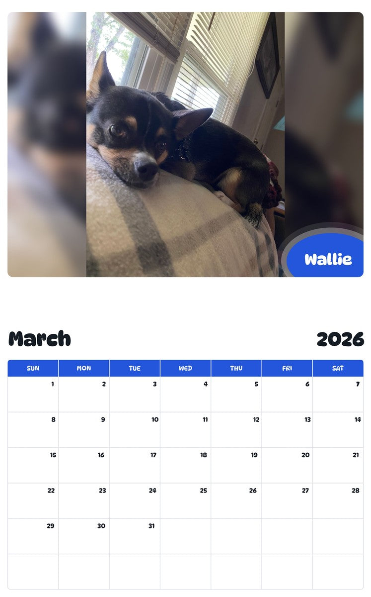 November 2025 - October 2026 Wallie - Pawidols Pet Calendar