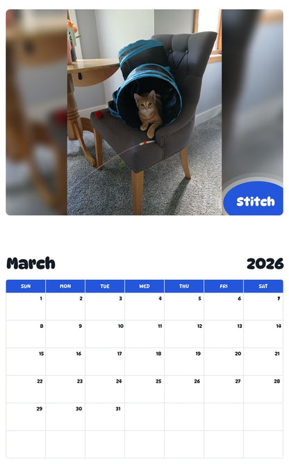 November 2025 - October 2026 Stitch - Pawidols Pet Calendar