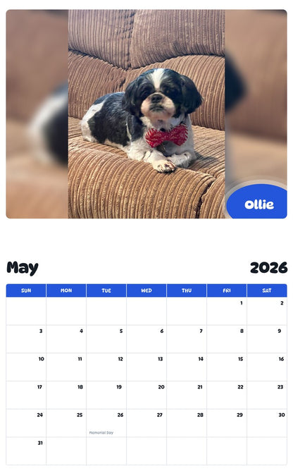 2026 - 2027 Ollie - Pawidols Pet Calendar