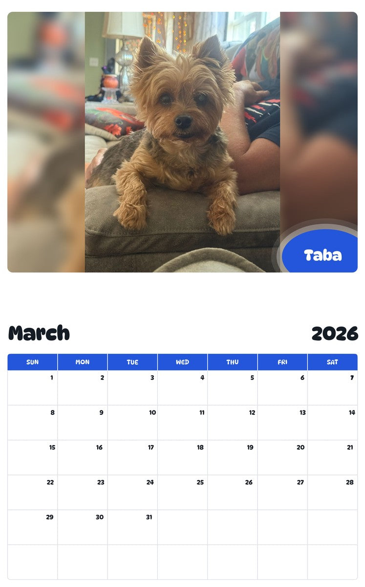 November 2025 - October 2026 Taba - Pawidols Pet Calendar