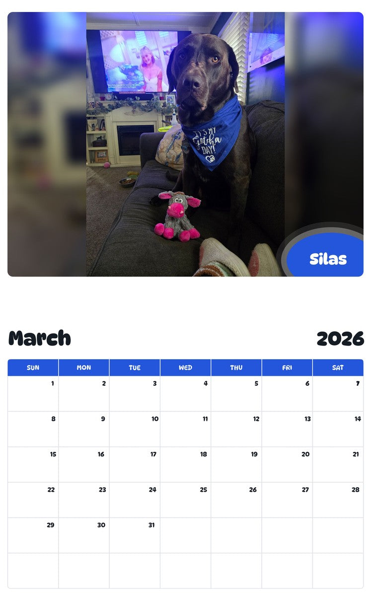 November 2025 - October 2026 Silas - Pawidols Pet Calendar