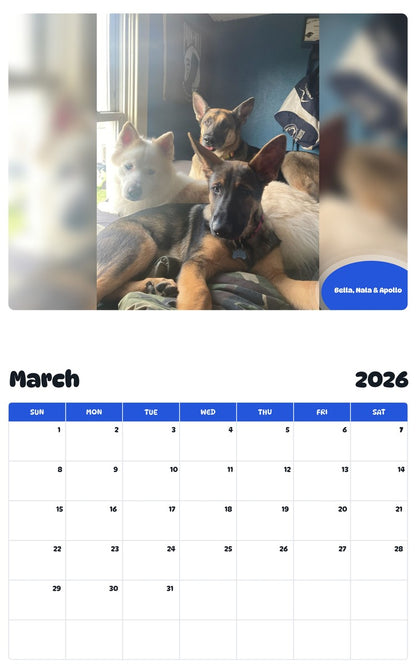 November 2025 - October 2026 Bella, Nala & Apollo - Pawidols Pet Calendar