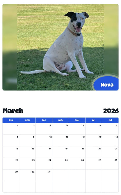 November 2025 - October 2026 Nova - Pawidols Pet Calendar