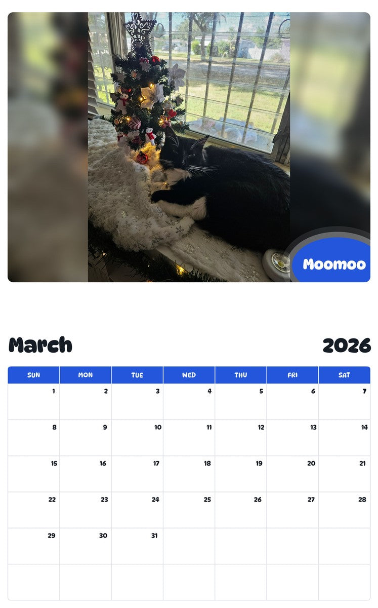 November 2025 - October 2026 Moomoo - Pawidols Pet Calendar