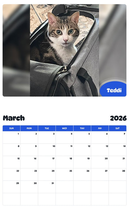 November 2025 - October 2026 Teddi - Pawidols Pet Calendar
