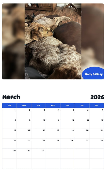 November 2025 - October 2026 Molly & Missy - Pawidols Pet Calendar