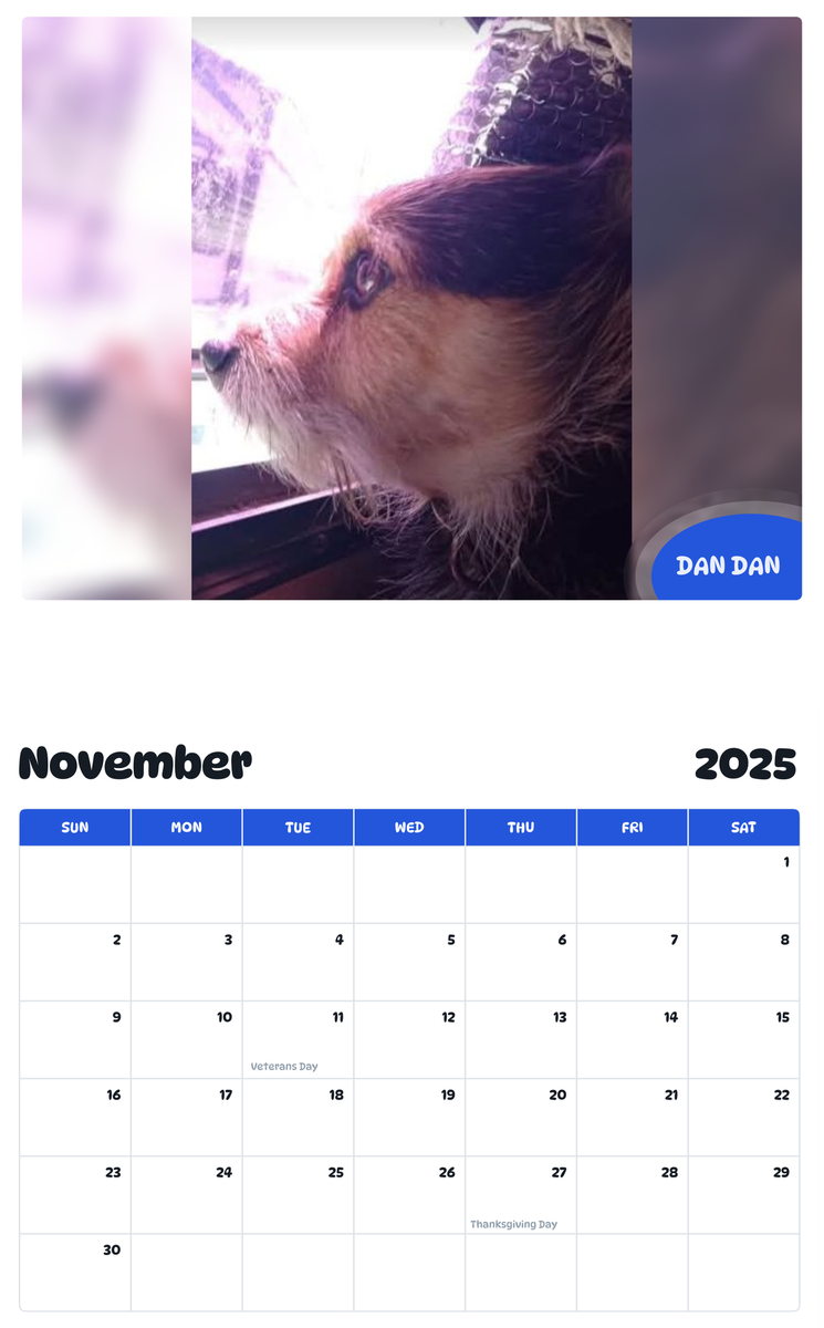 July 2025 - June 2026 Dan Dan - Pawidols Pet Calendar