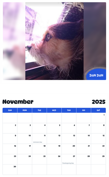 July 2025 - June 2026 Dan Dan - Pawidols Pet Calendar