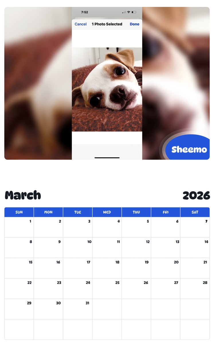 November 2025 - October 2026 Sheemo - Pawidols Pet Calendar