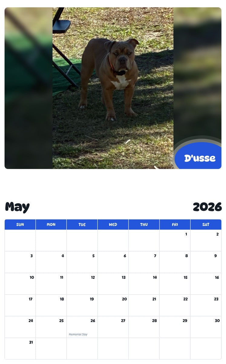 2026 - 2027 D'usse - Pawidols Pet Calendar
