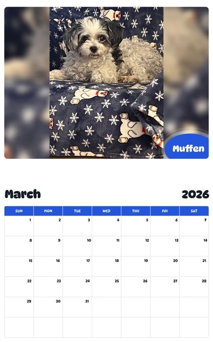 November 2025 - October 2026 Muffen - Pawidols Pet Calendar
